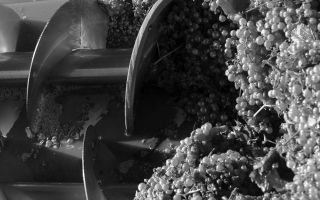 Bild von Vigneti Zanatta, Olbia